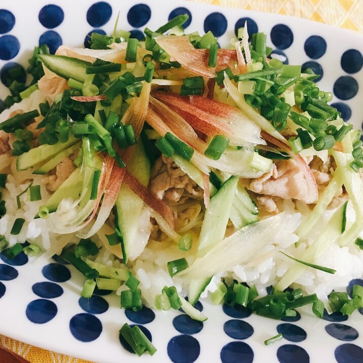 さっぱり豚丼